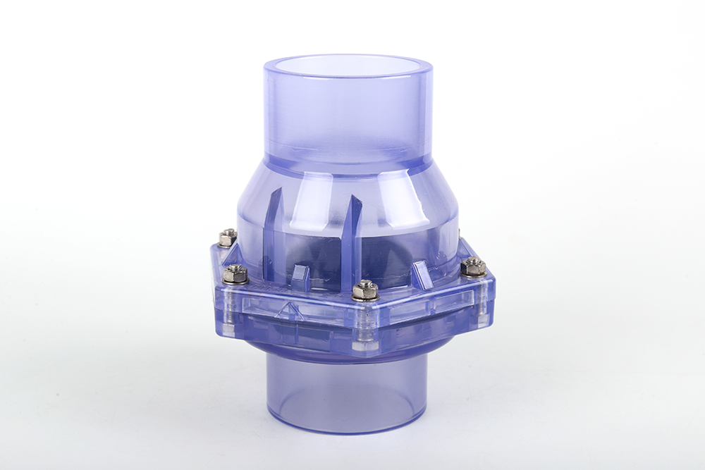 台江透明翻板式止回阀